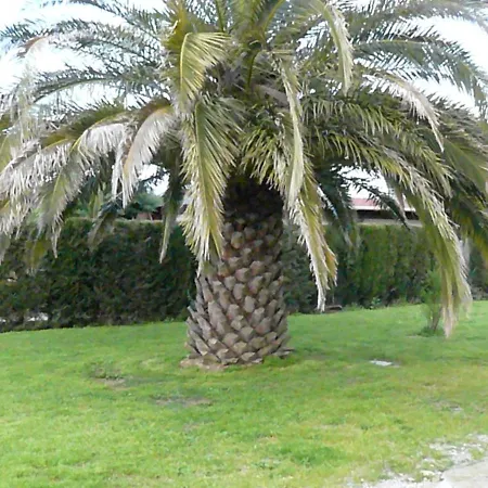 Location Avec Piscine Et Parking